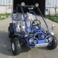 Praia Buggy Off Road vai Kart 