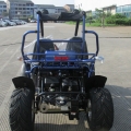 Praia Buggy Off Road vai Kart 