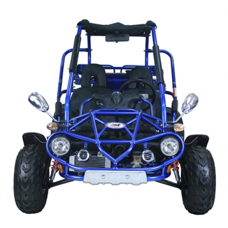 Buggy de refrigeração água de 300cc