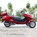 300cc 3 roda gás Scooter Trike 