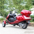 300cc 3 roda gás Scooter Trike 