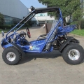 Praia Buggy Off Road vai Kart 