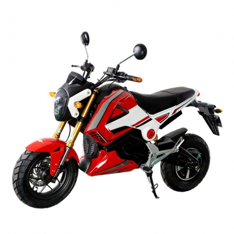 Adultos Electriec moto 1000W