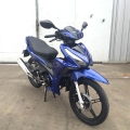 Filhote Motorcyce 125cc 17