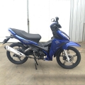 Filhote Motorcyce 125cc 17